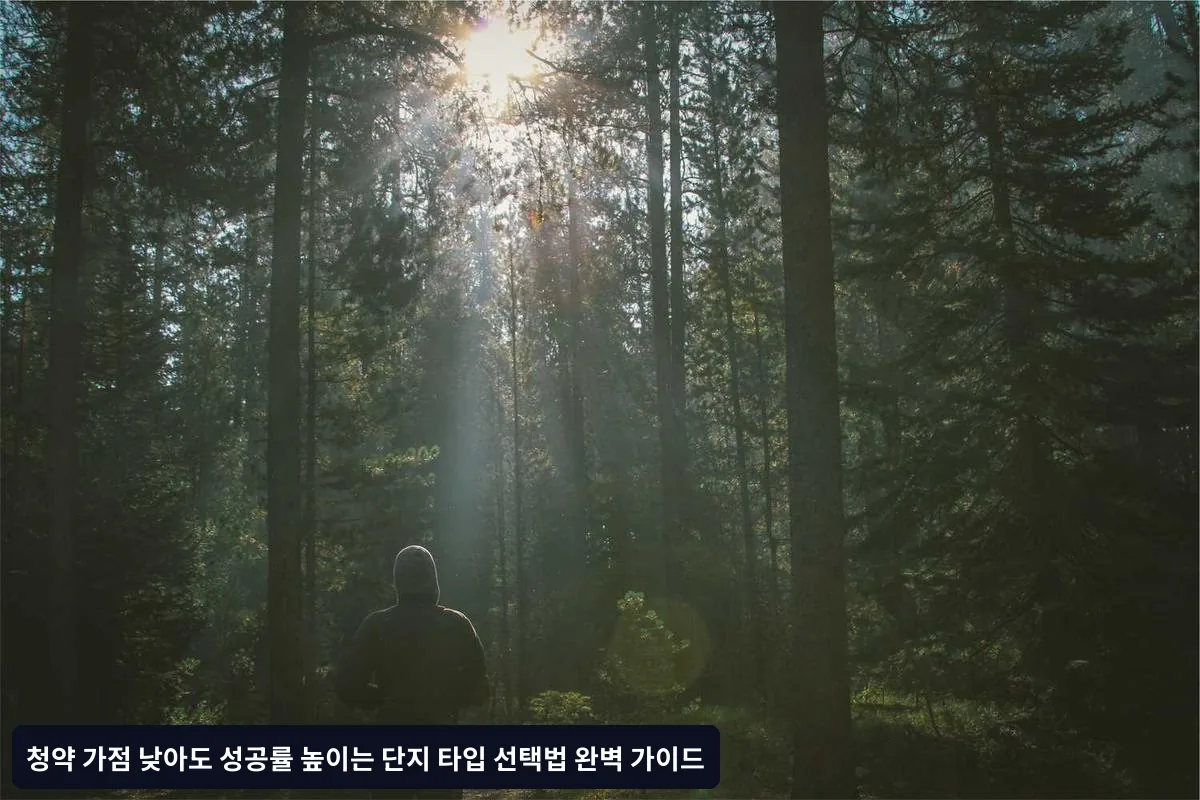 4~6월: 적극적인 도전 시기