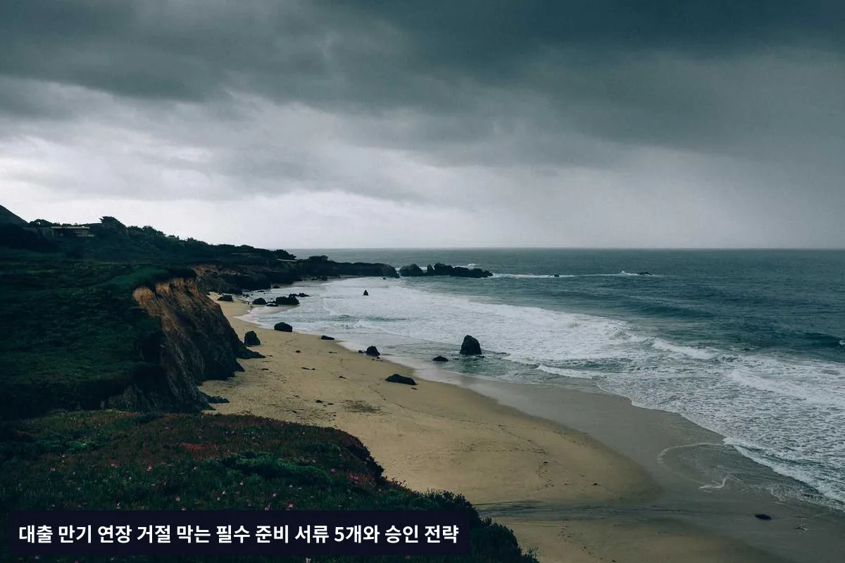 대안 금융기관 활용