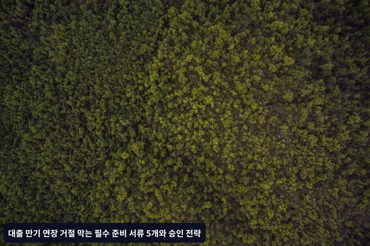 □ 신청 전략 수립