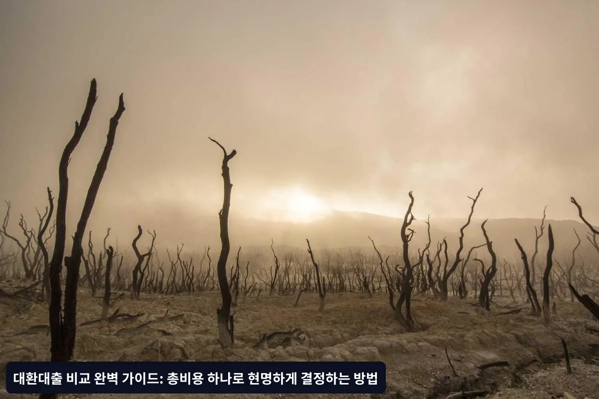 타이밍과 절차