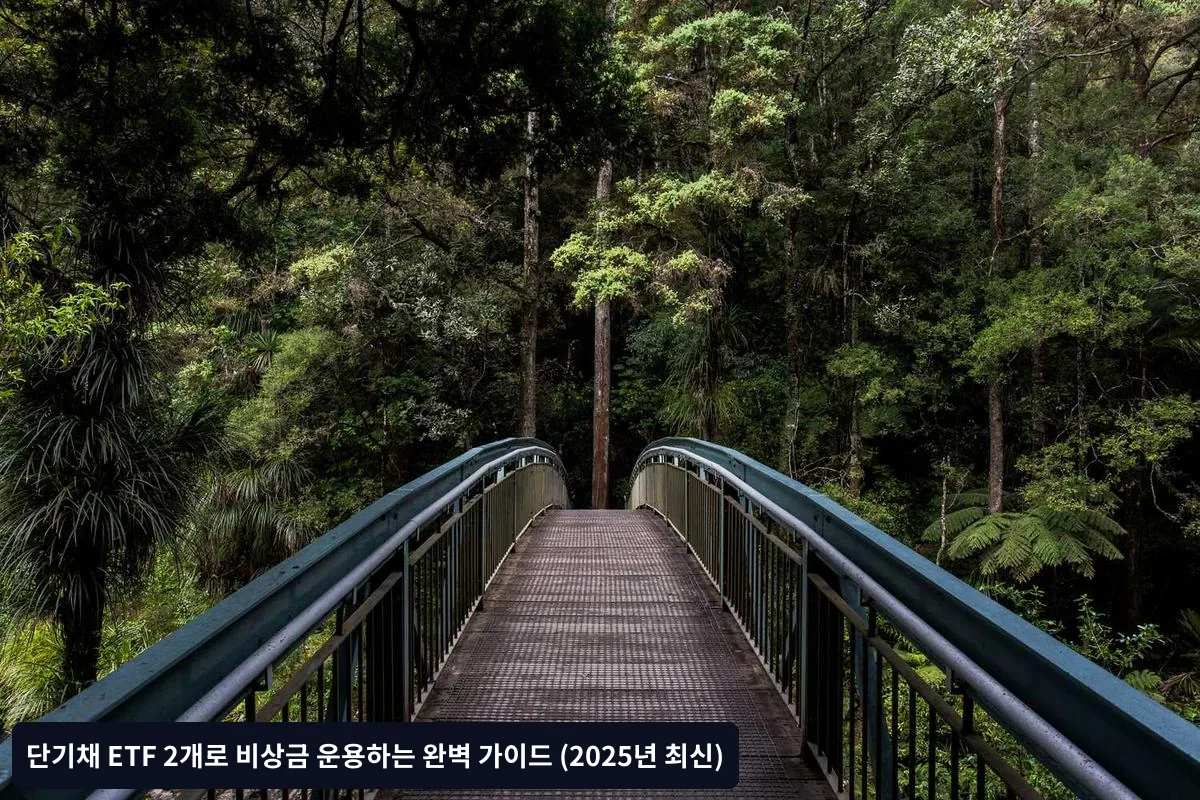 단기채 ETF 투자 시 핵심 주의사항