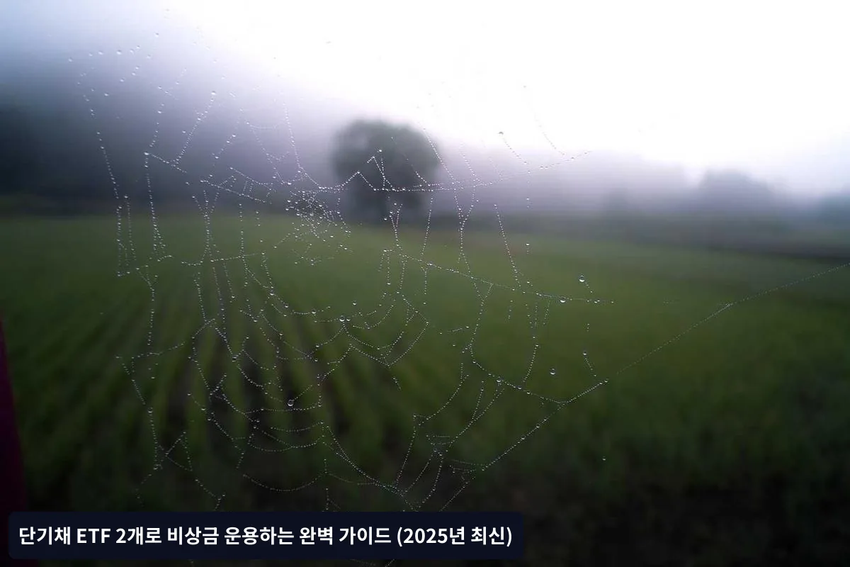 실제 운용 사례와 수익률 분석