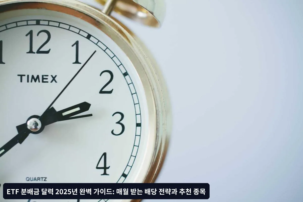 분배금 투자 시 주의사항과 체크포인트