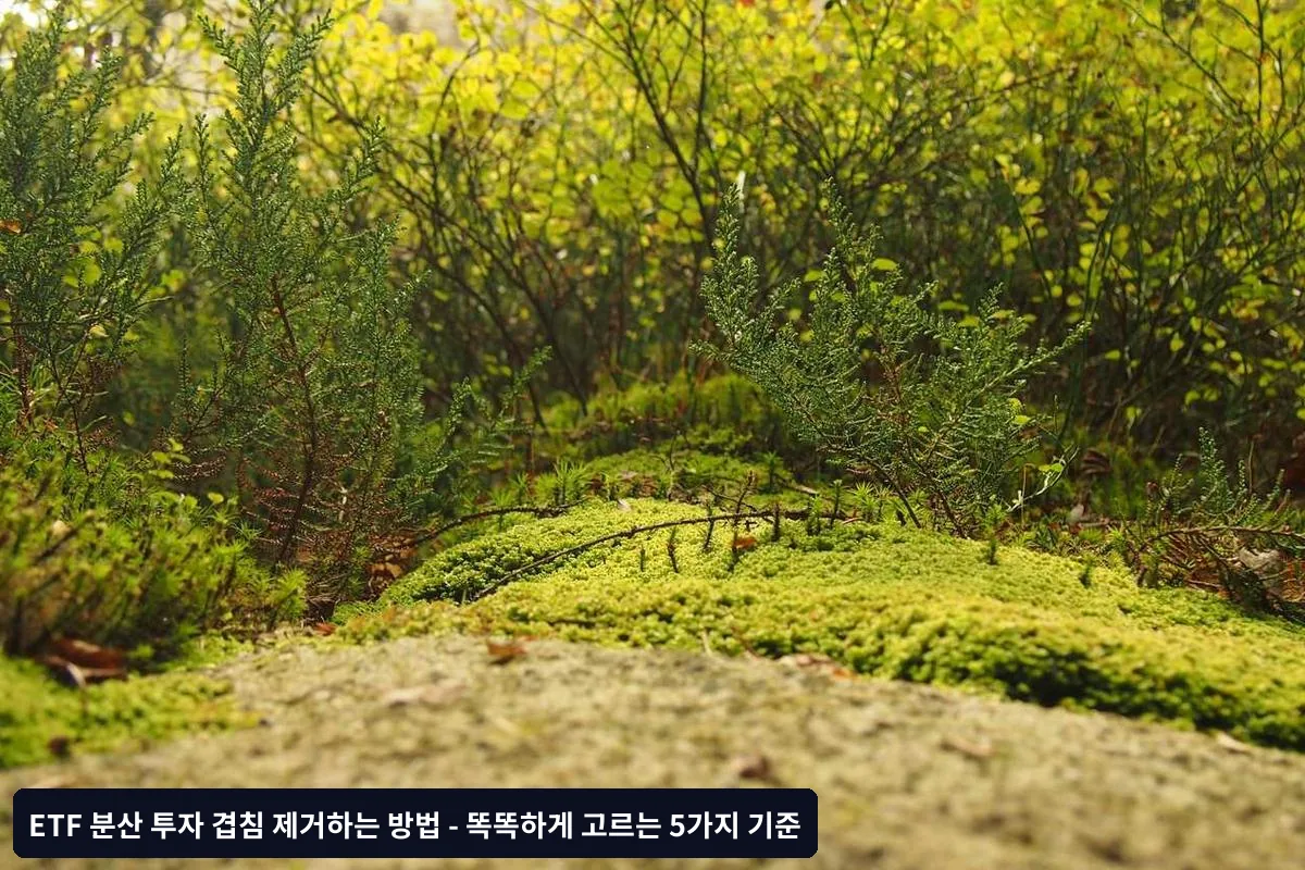 1단계: 투자 목표와 위험성향 설정