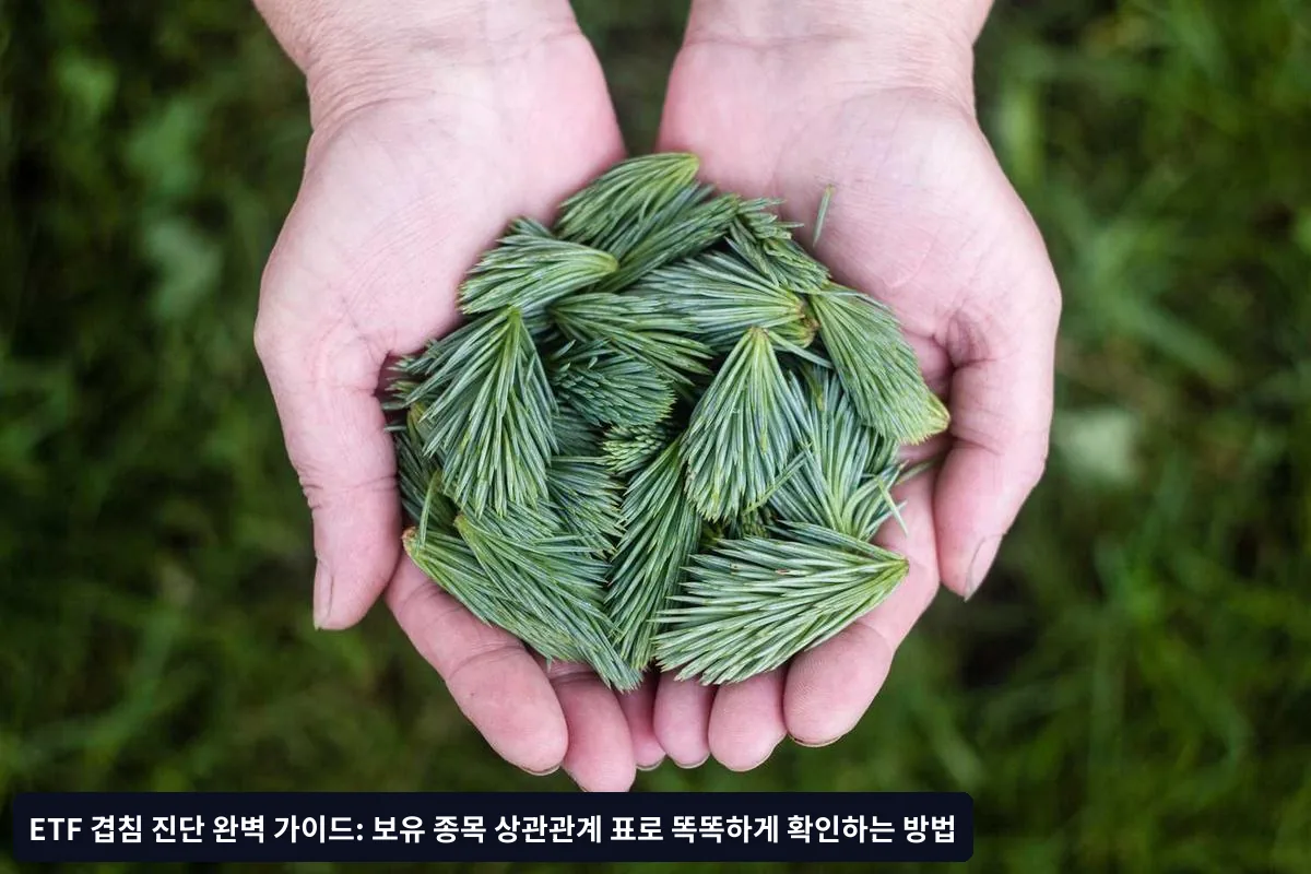 3. 전문 분석 도구 활용법