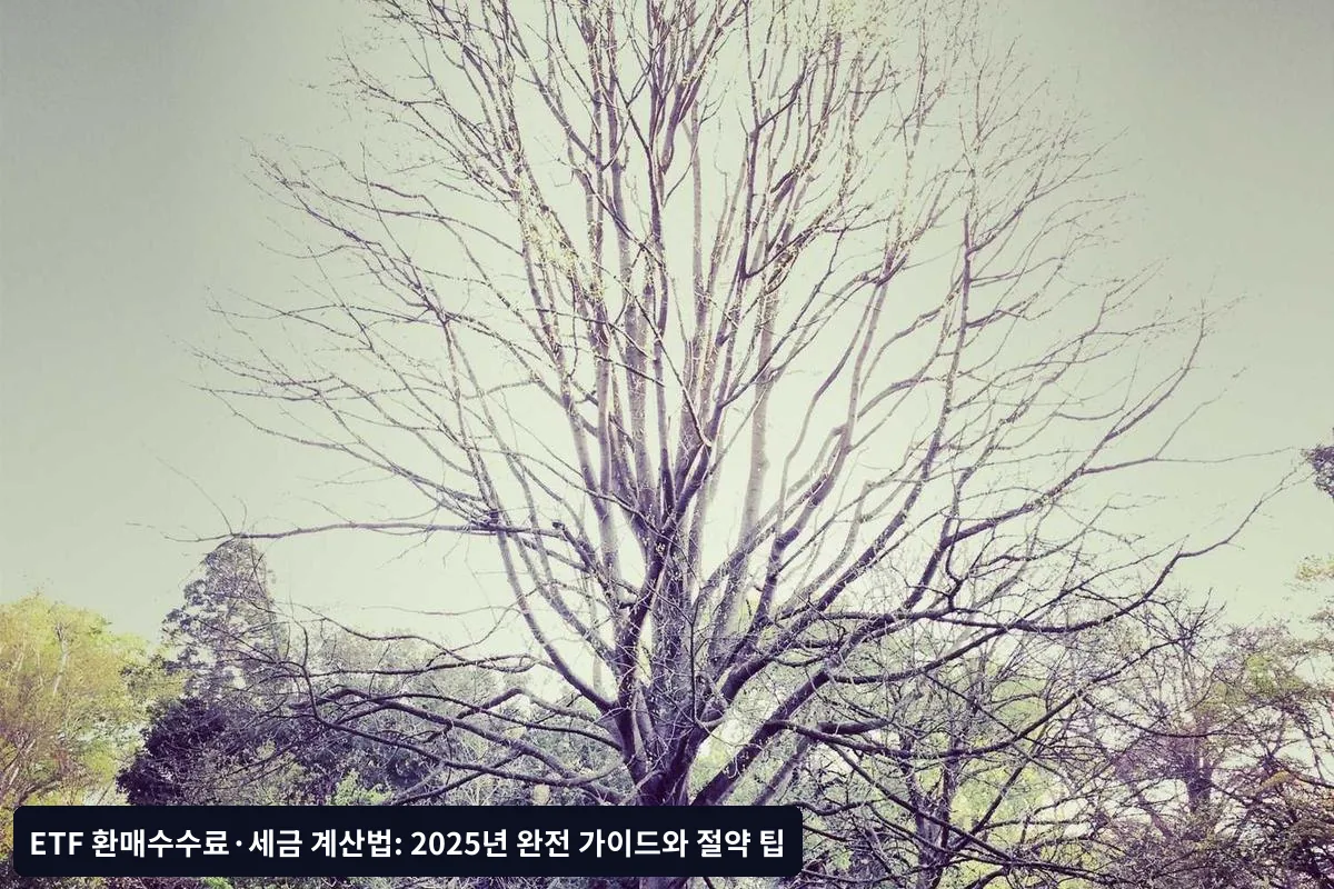 배당소득세 계산법