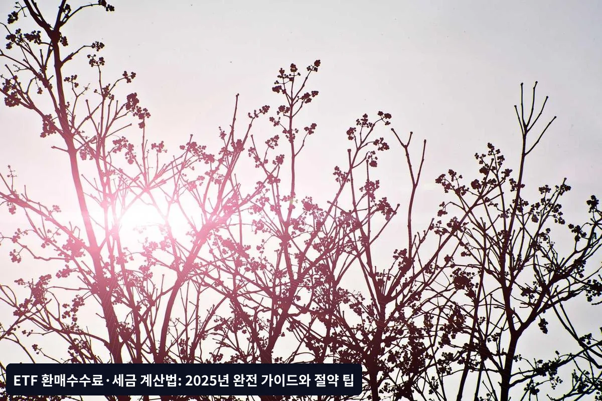 Q2: 배당금 재투자와 현금 수령 중 어느 것이 유리한가요?