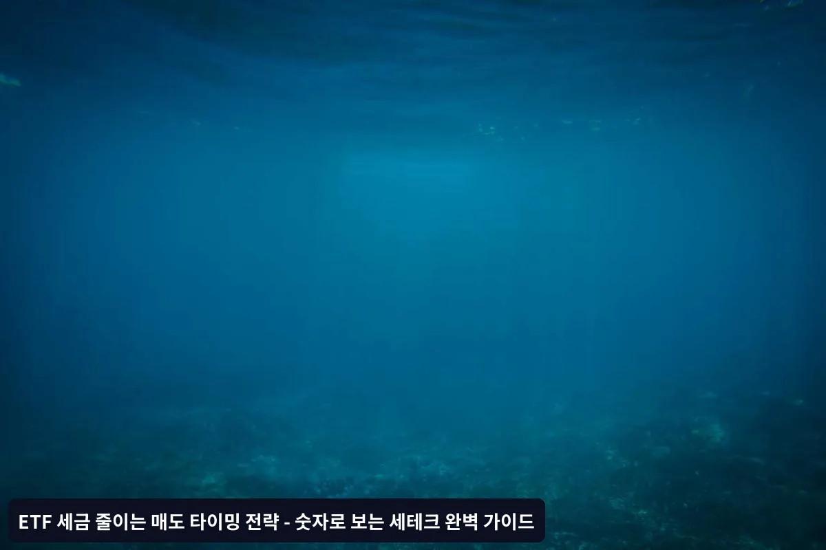 월별 매도 타이밍 체크리스트
