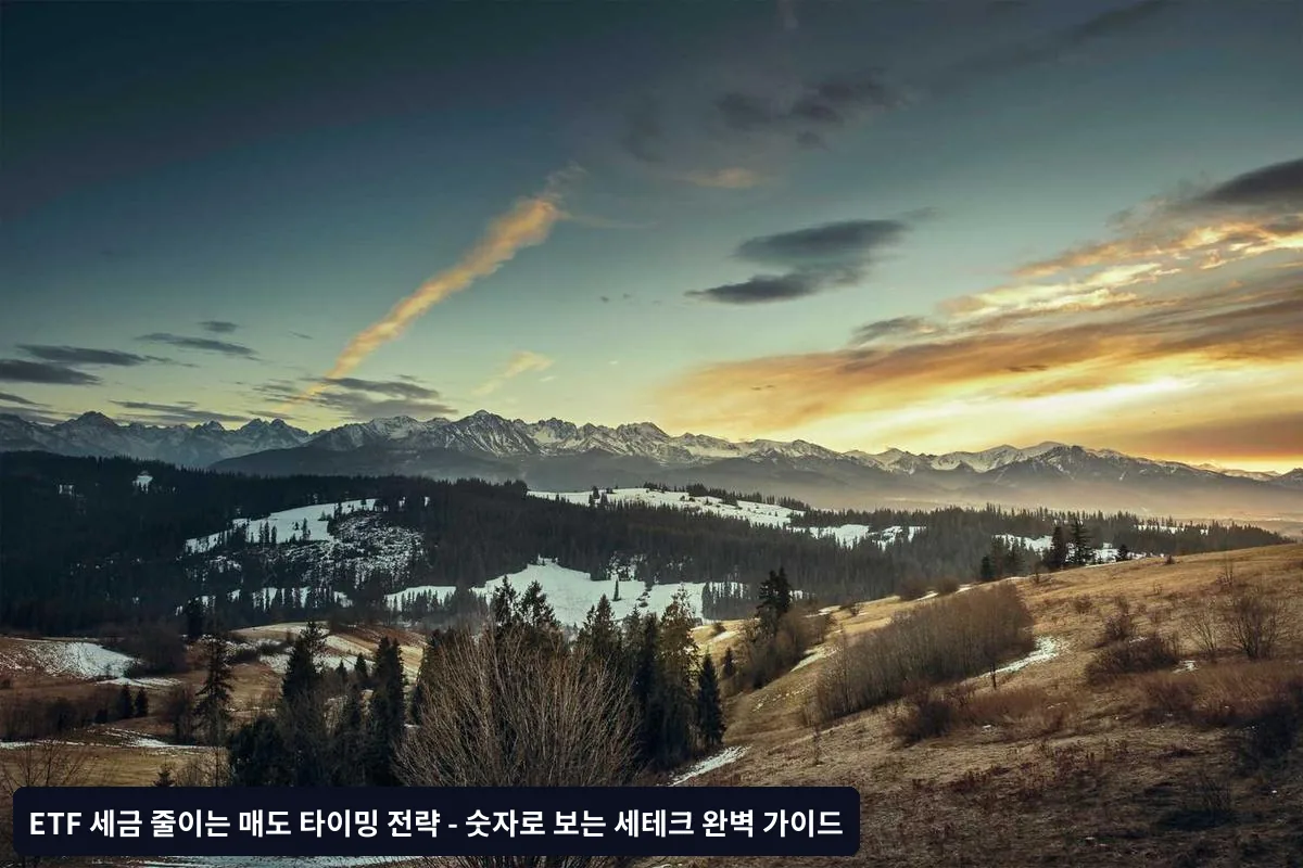 자주 묻는 질문 (FAQ)