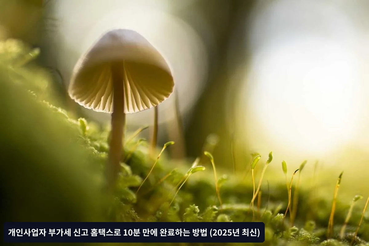 1단계: 홈택스 접속 및 로그인