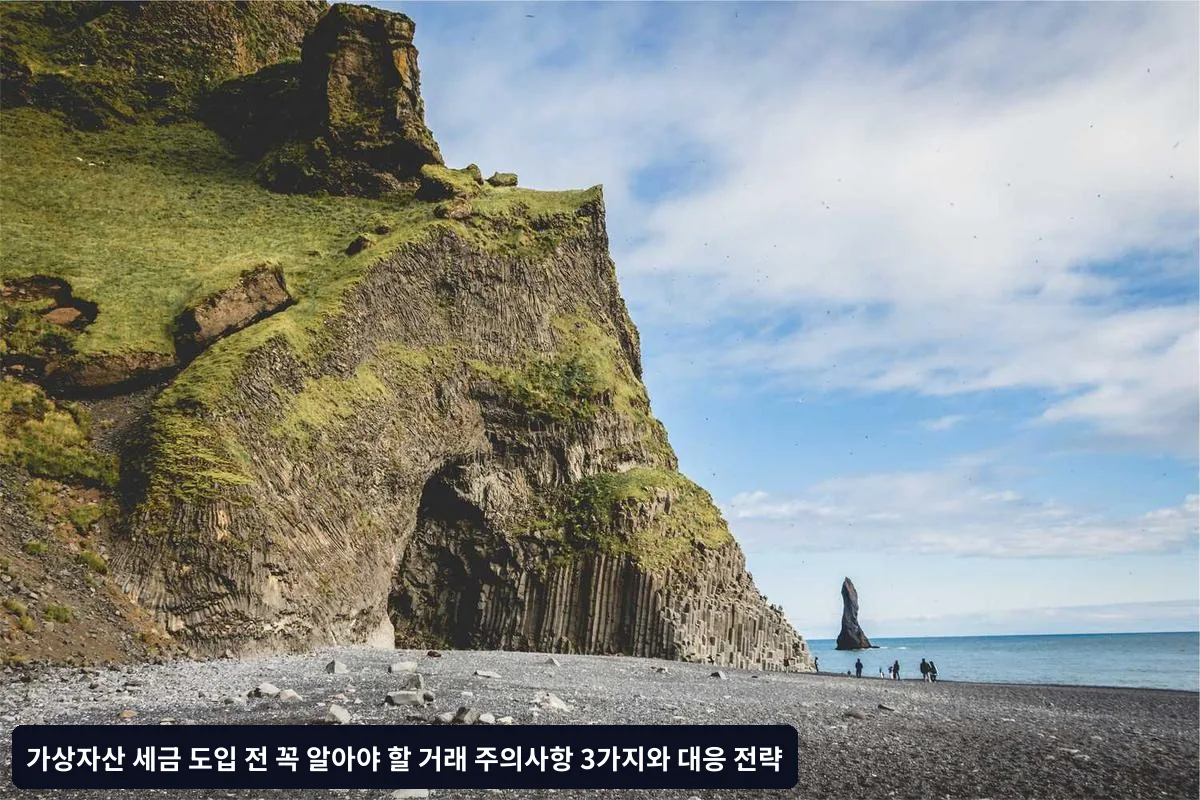 거래 전 확인사항