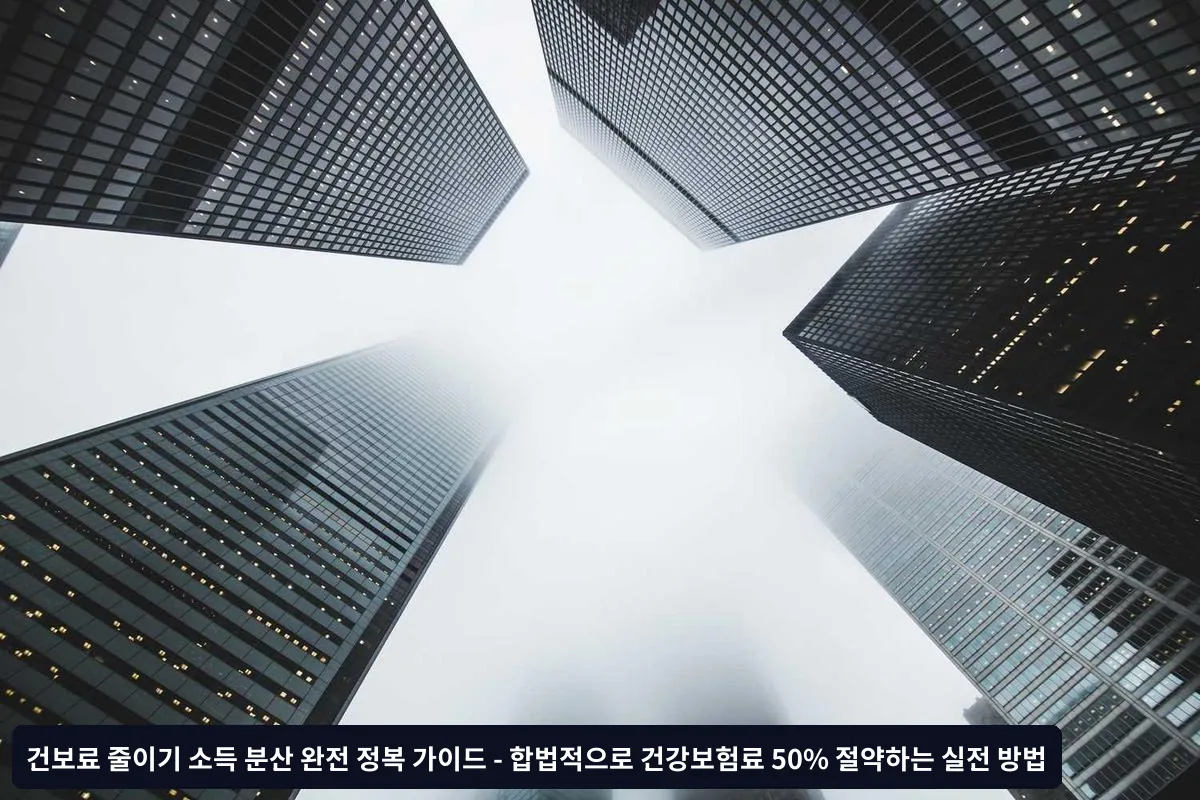 건보료 절약 실행 단계별 가이드