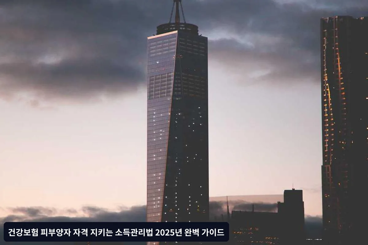 2025년 달라진 점과 향후 전망