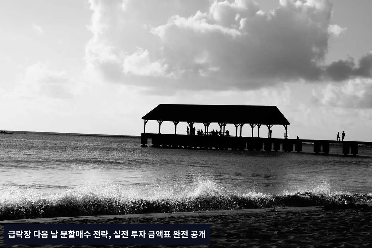 투자 금액별 맞춤 분할매수표