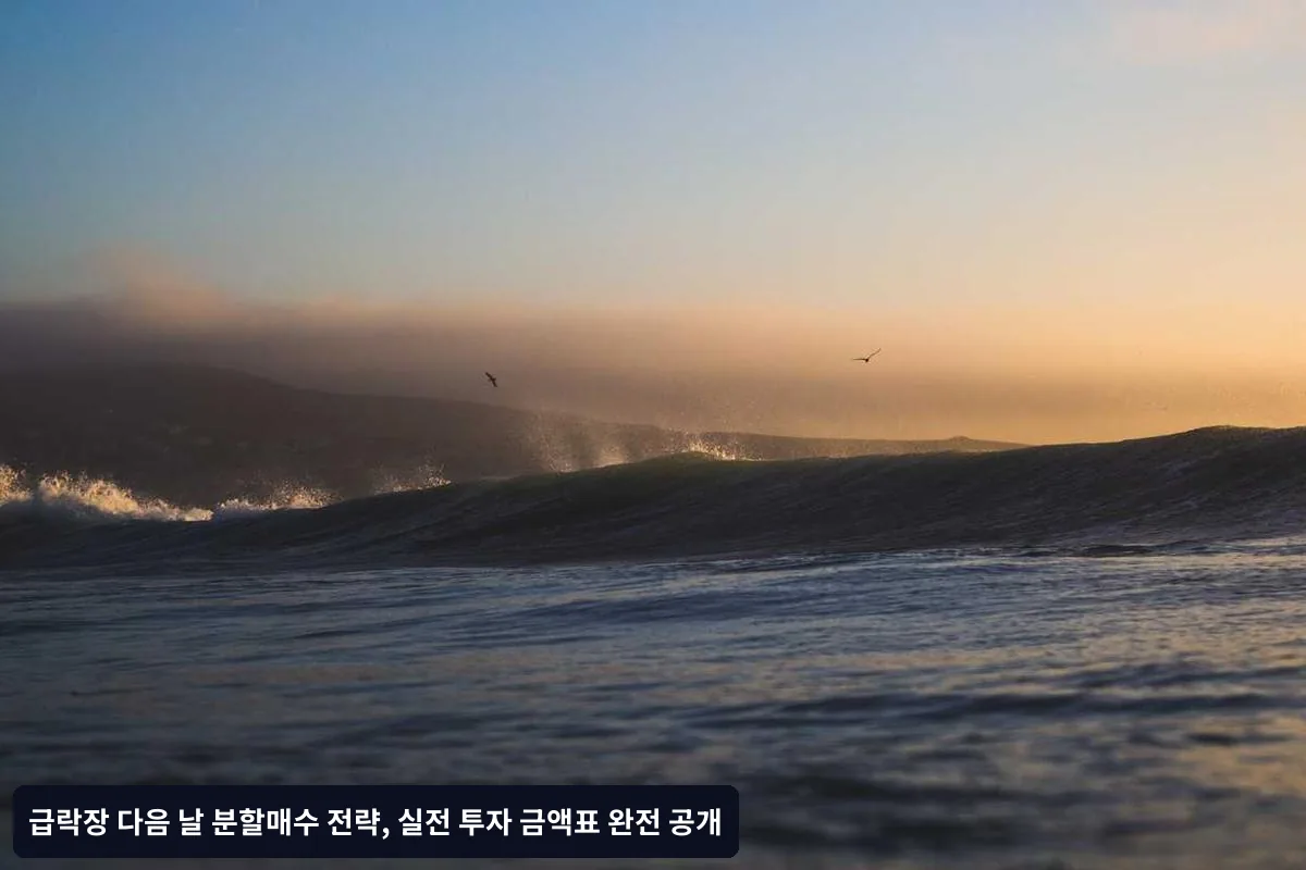 월간 포트폴리오 점검 가이드
