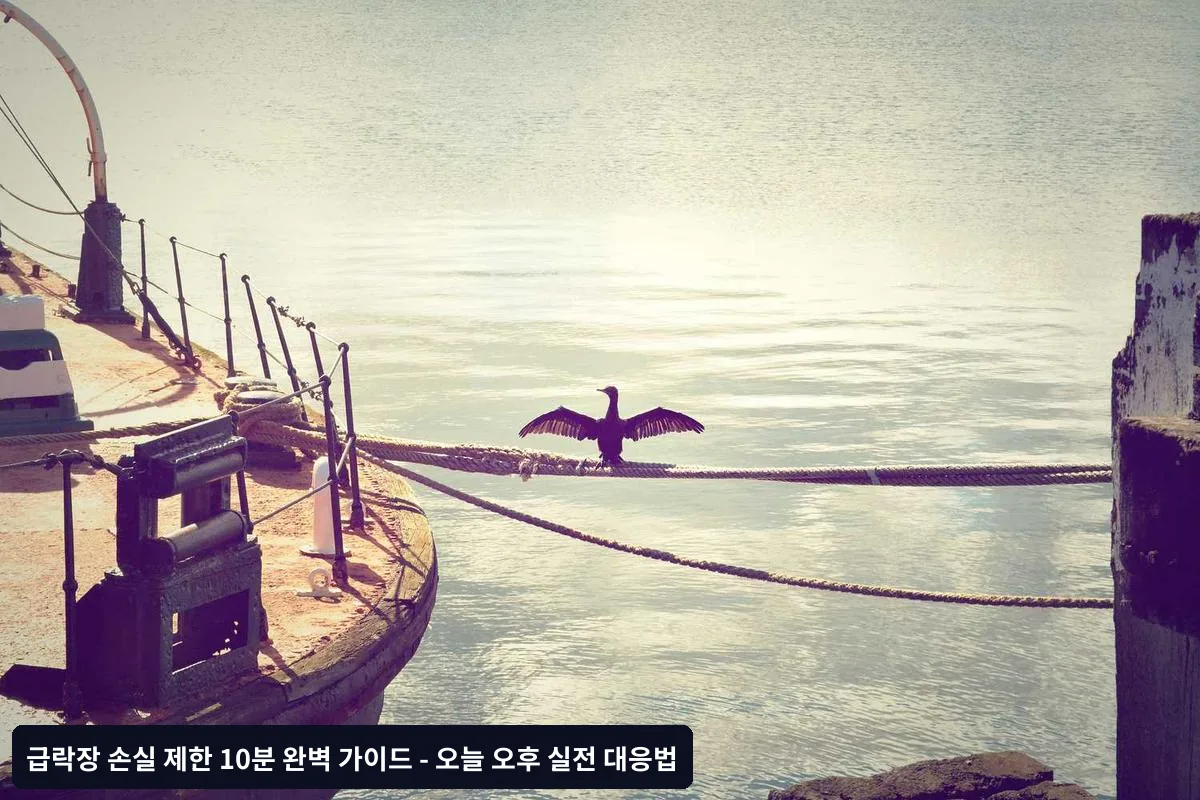2단계: 손절매 기준 적용 (3분)