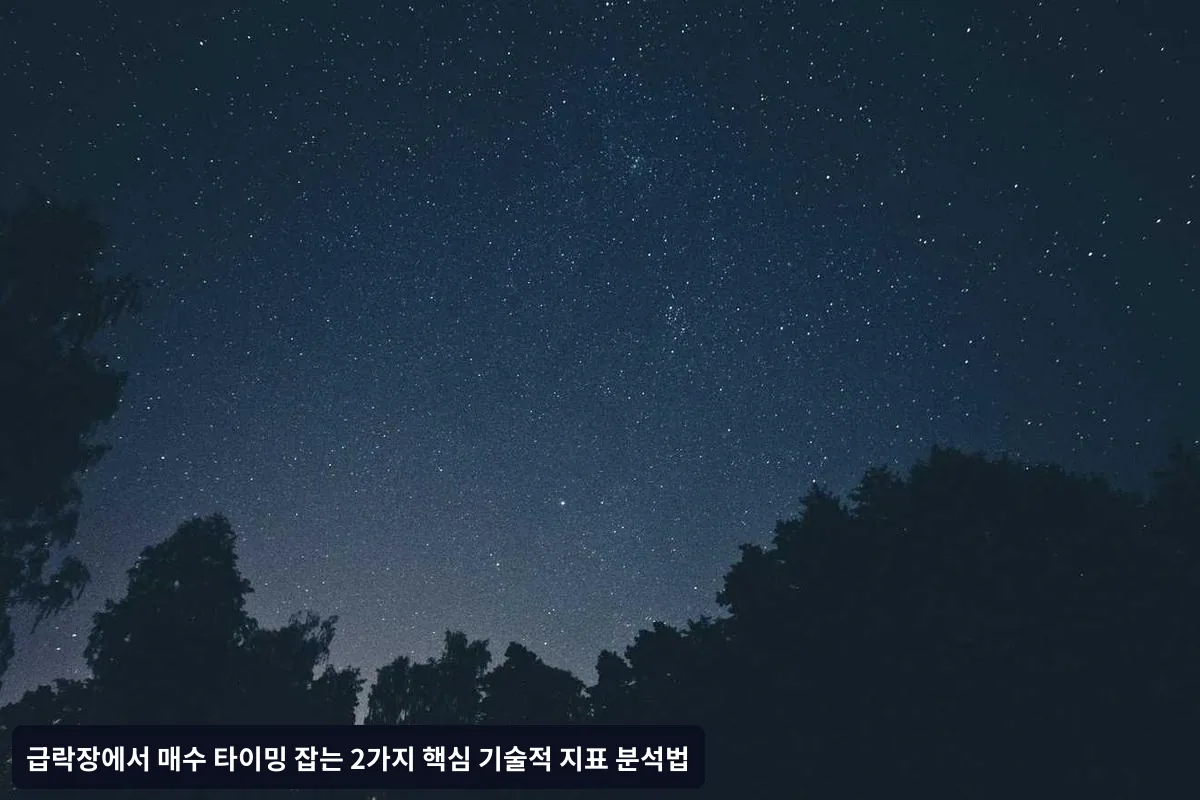 RSI와 볼린저밴드 조합 활용법