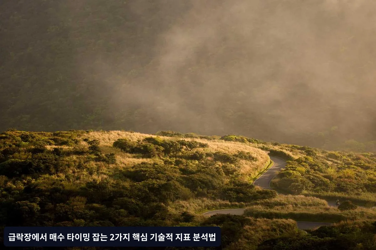 실전 매수 타이밍 체크리스트