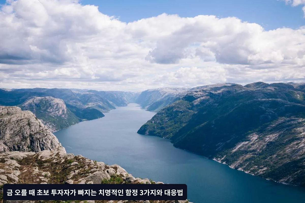 함정 3: 과도한 레버리지 사용 - "빨리 큰돈을 벌고 싶어"