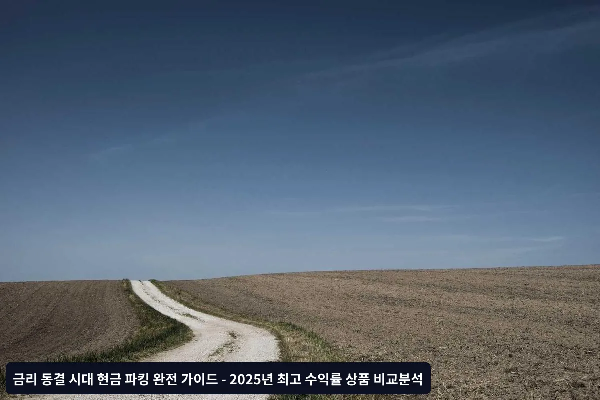 과세 기준별 분류
