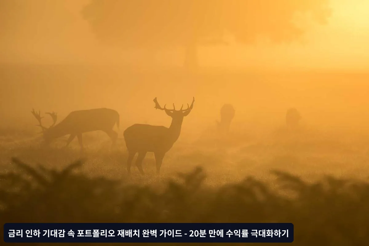 리스크 관리와 주의사항