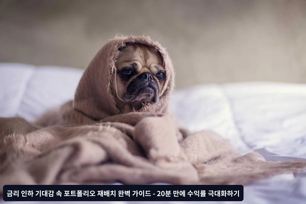 전문가가 알려주는 실전 노하우