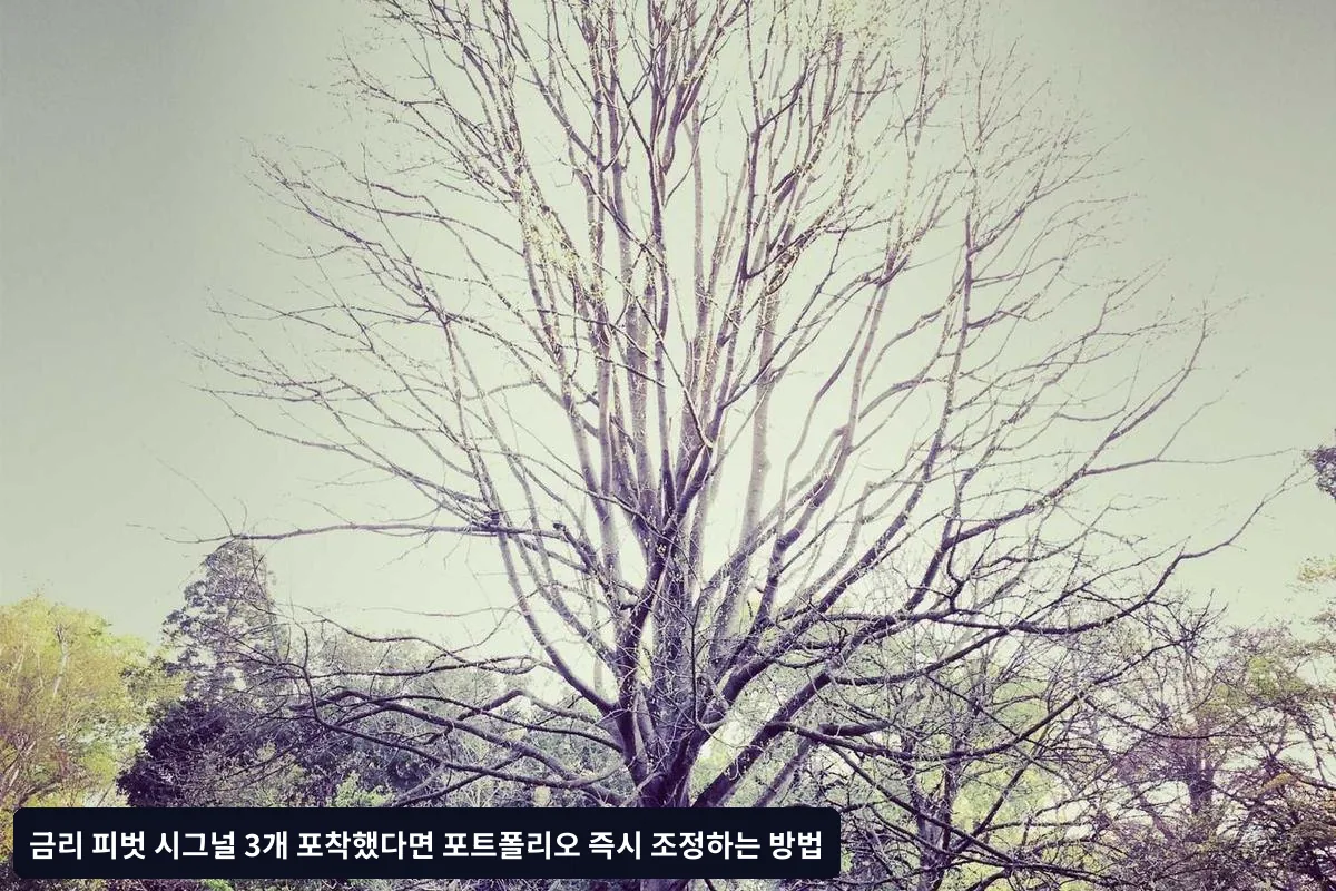 금리 피벗 시그널 3: 연준 위원들의 발언 톤 변화
