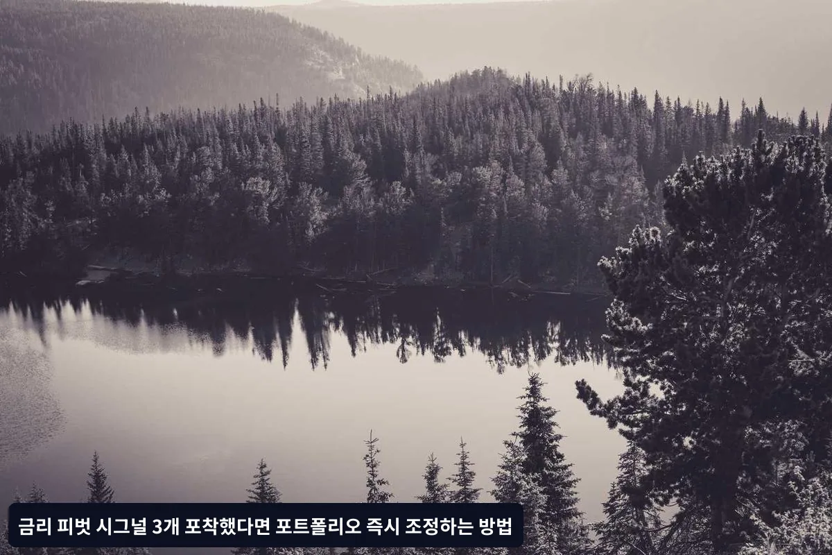 □ 월간 점검 항목
