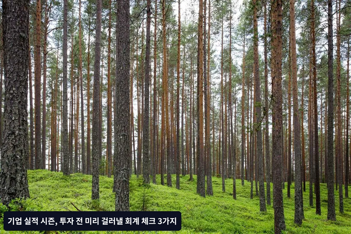 3. 현금흐름과 부채 건전성: 실제 현금 창출 능력 확인
