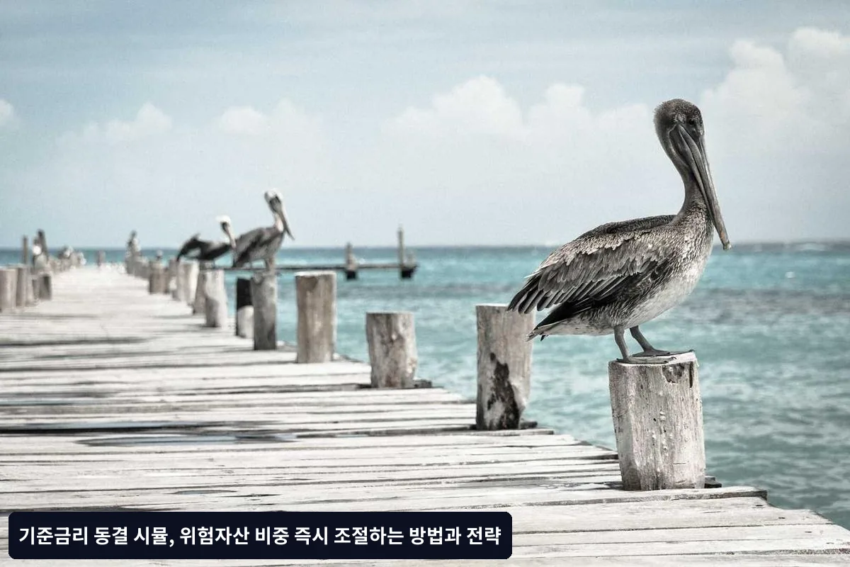 리스크 관리와 손실 제한 전략