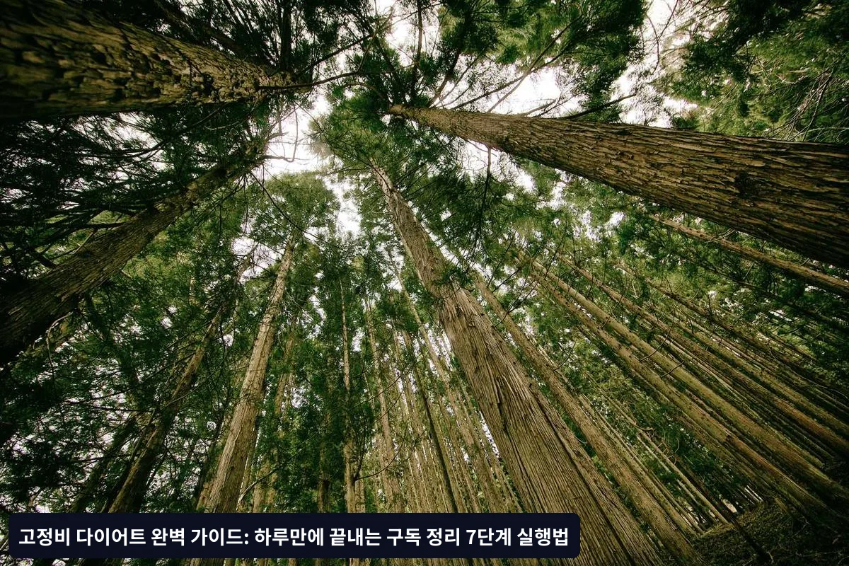실제 사례: 김씨 가족의 고정비 다이어트 성공기