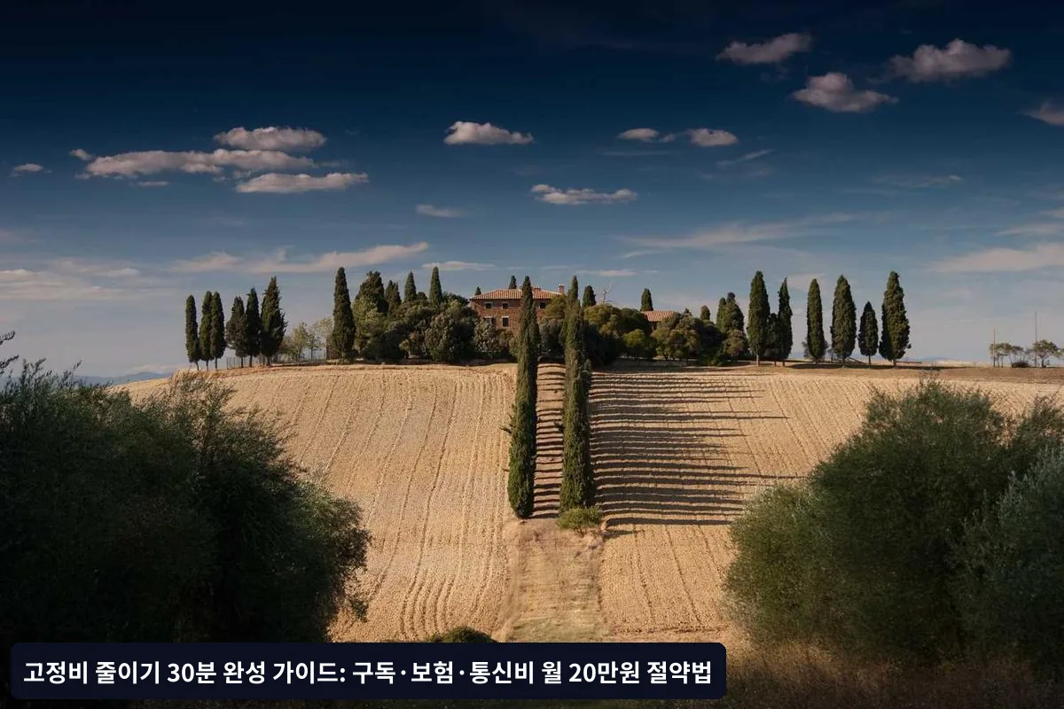 월별 고정비 관리 달력