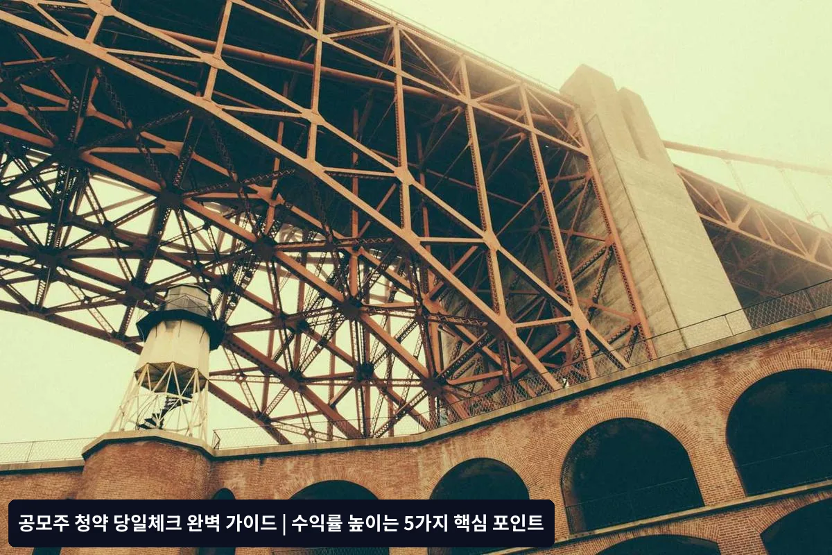 2025년 공모주 투자 환경 변화 대응법