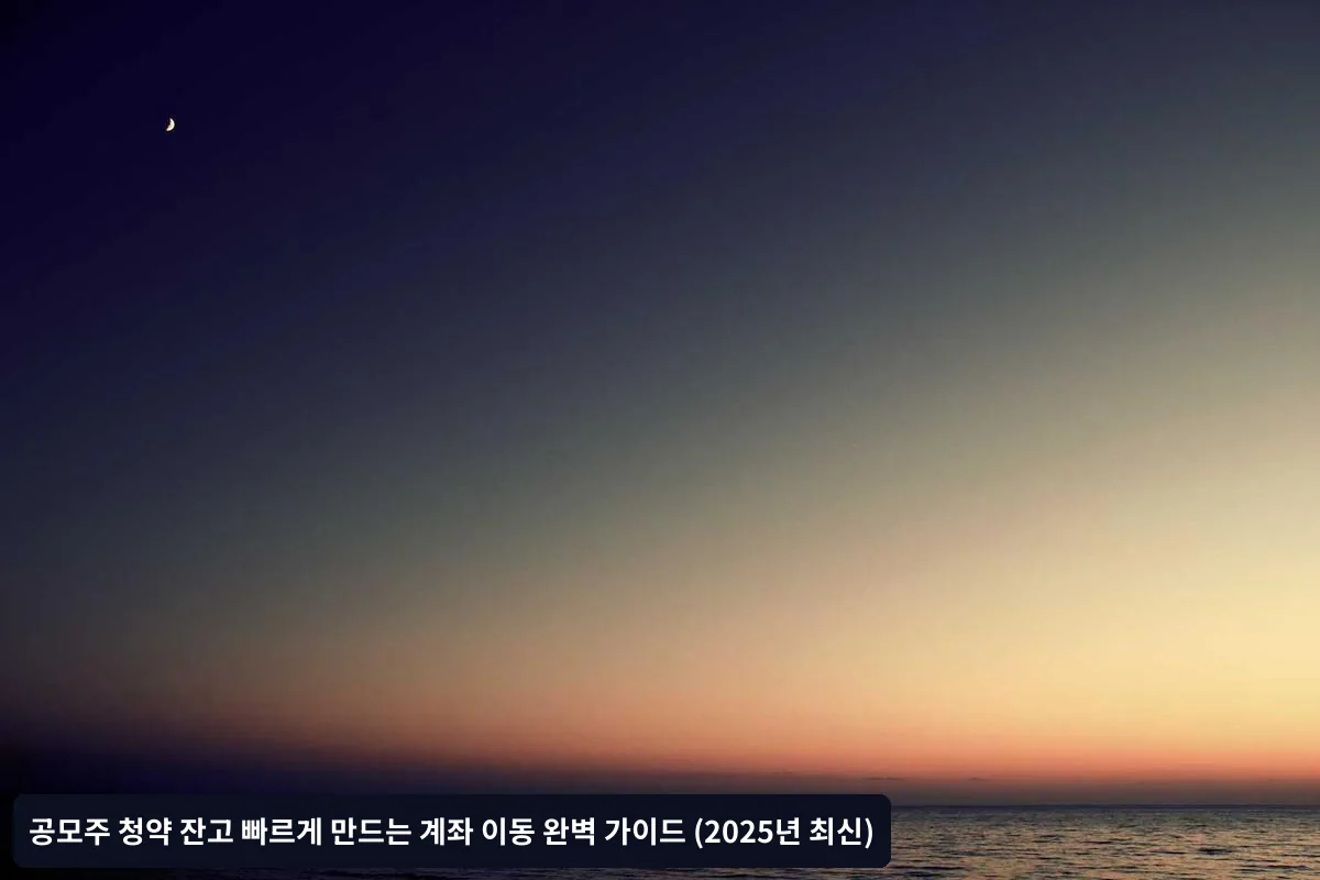 시간대별 자금 이동 전략