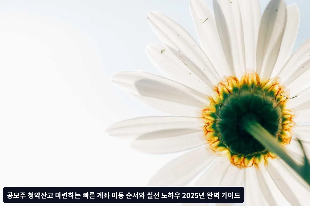 D-Day: 청약 실행