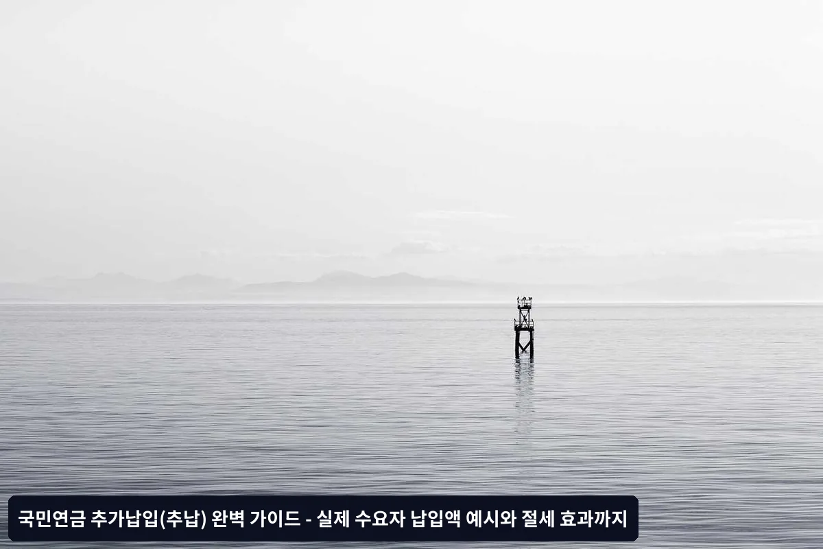 추가납입 납부 방법과 전략