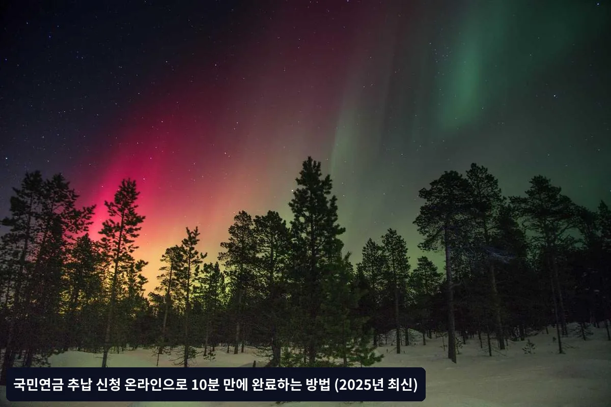 로그인 관련 문제