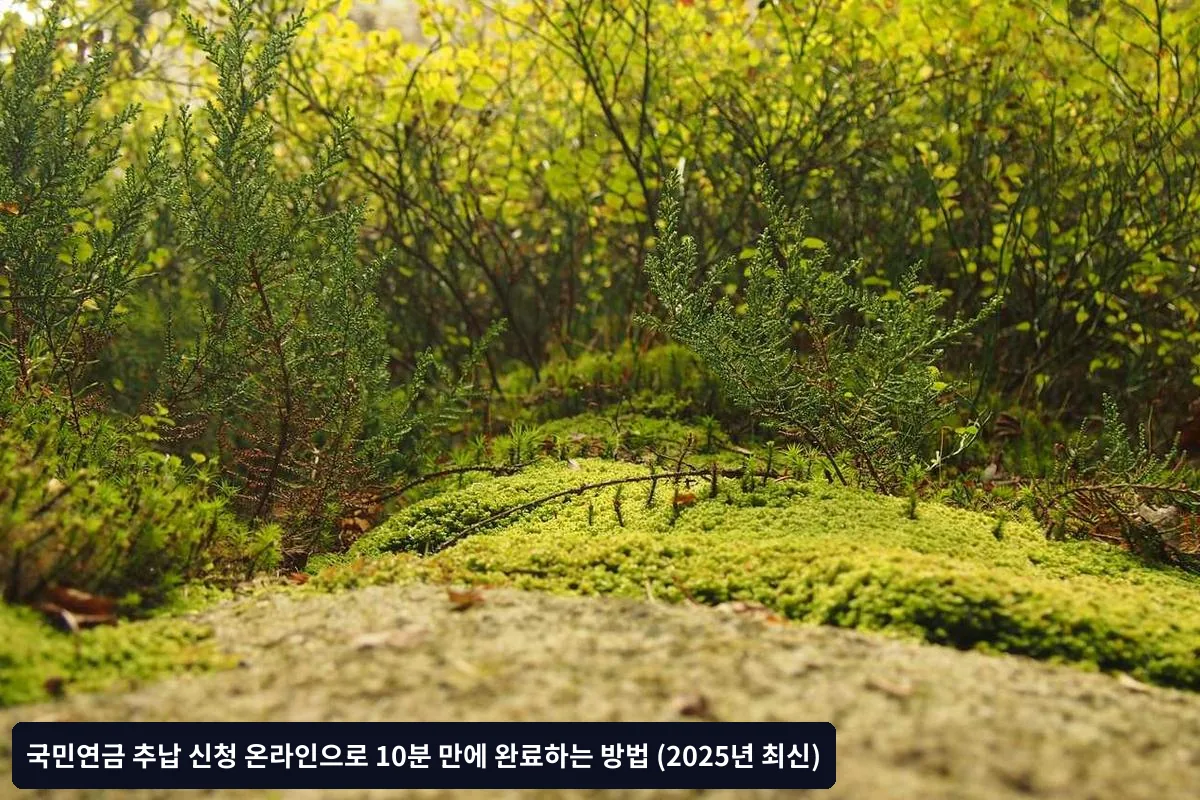 자주 묻는 질문 (FAQ)