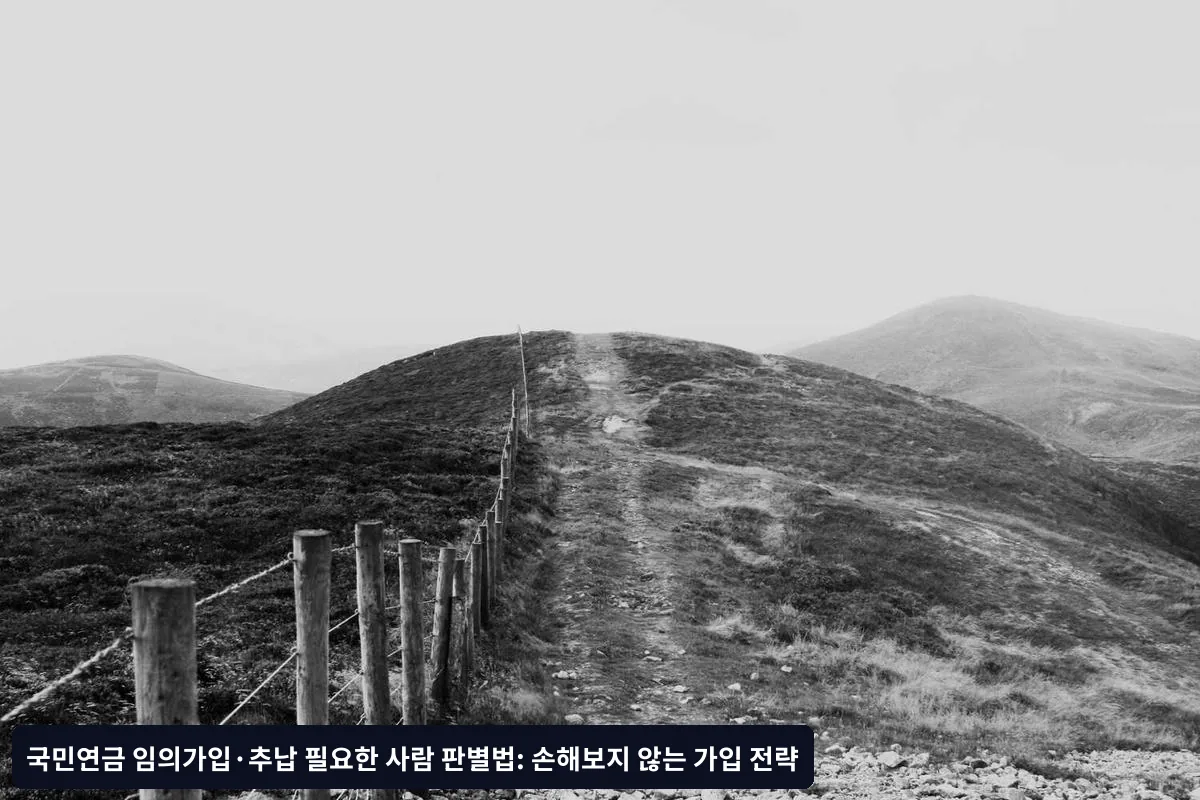 임의가입이 반드시 필요한 케이스