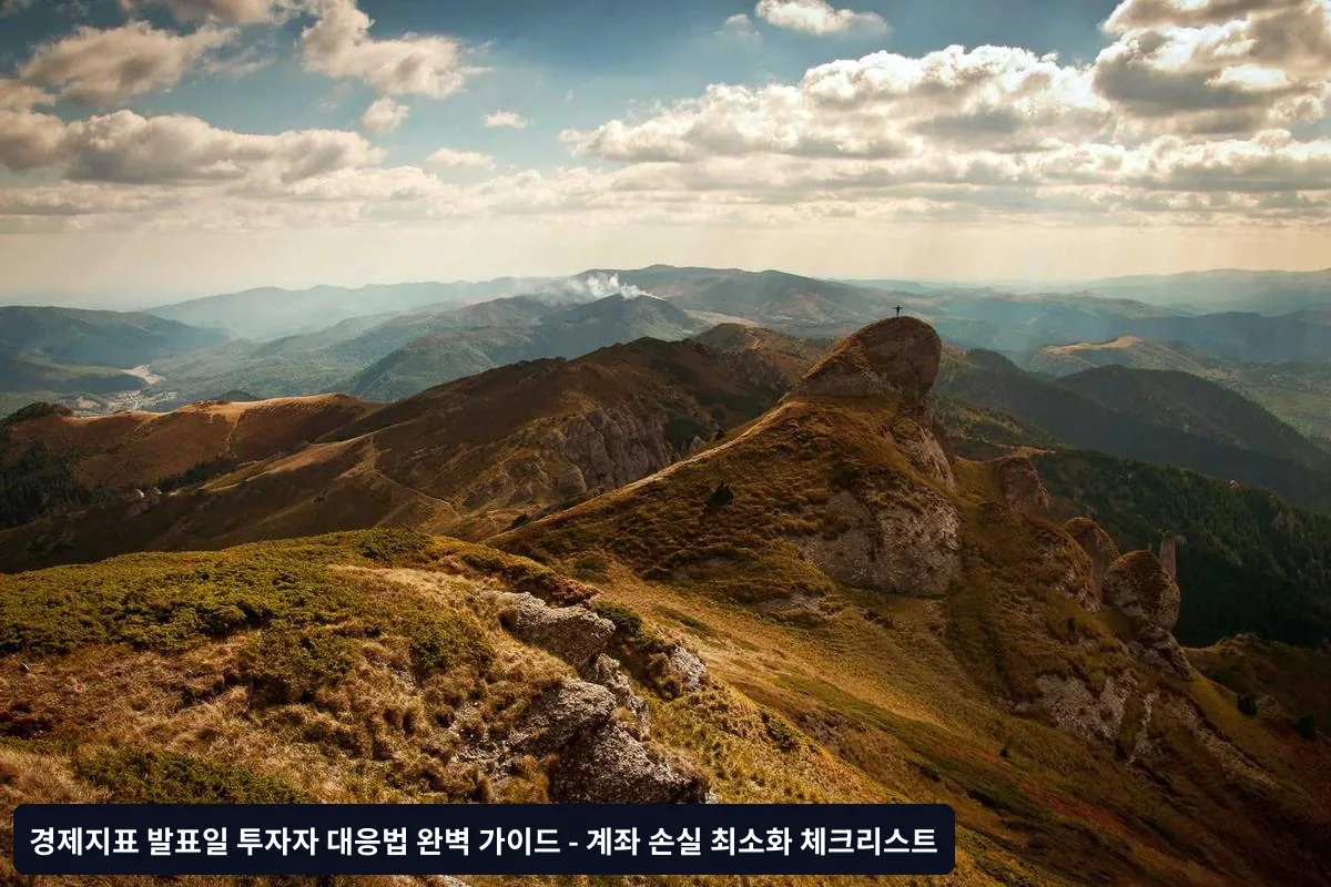 1. 포트폴리오 점검 및 조정