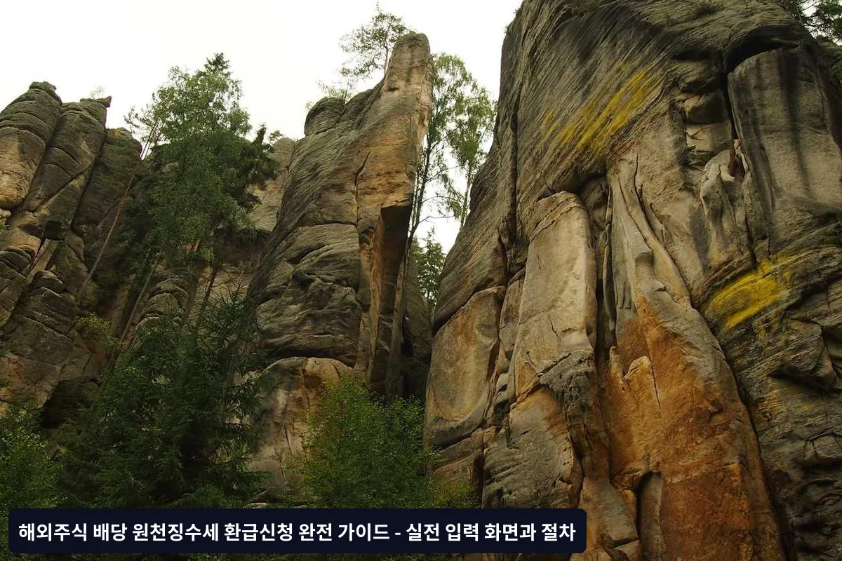 환급 신청 시 주의사항