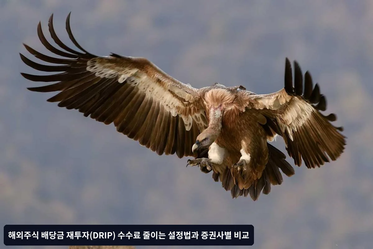 배당금 재투자 설정 시 주의사항