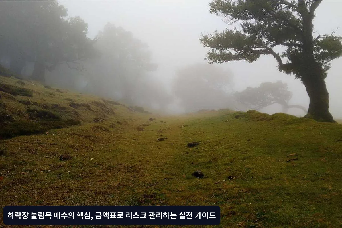 1. 투자 가능 자금 산정