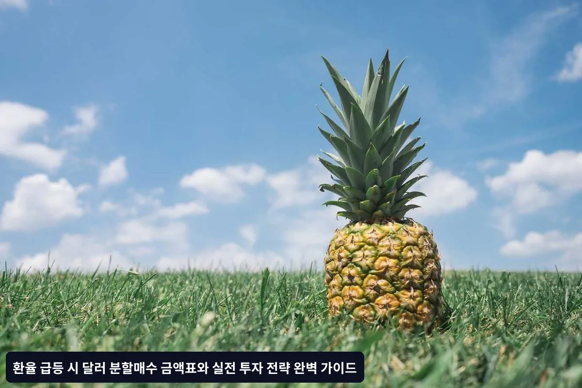 자주 묻는 질문 (FAQ)