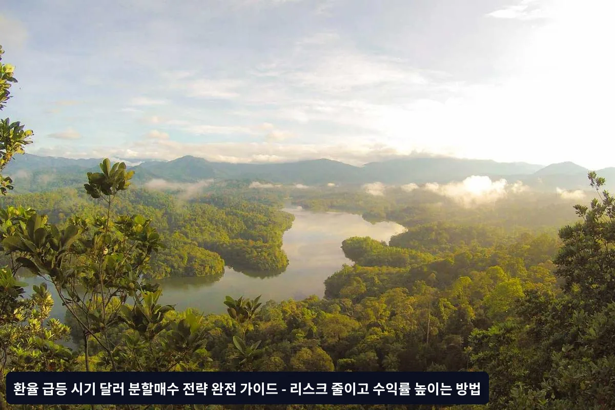 2단계: 적정 분할 금액과 주기 결정