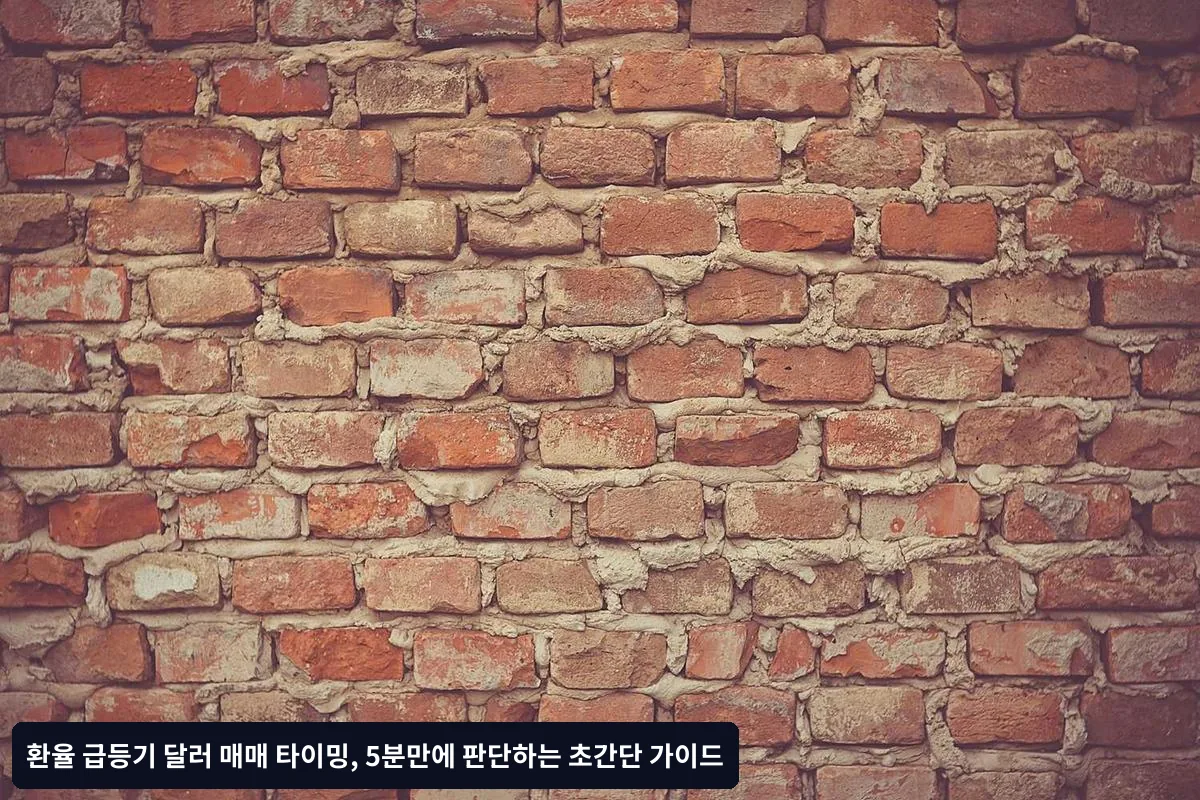 내가 달러를 사야 하는 사람인지 3초 만에 확인하는 법