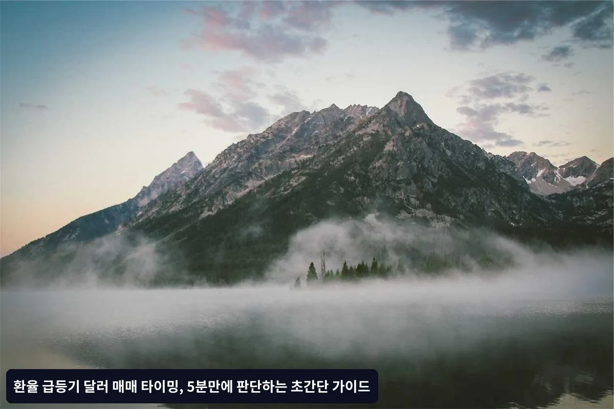 자주 묻는 질문(FAQ)
