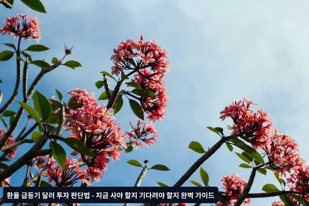 환율 급등 시기별 달러 투자 전략