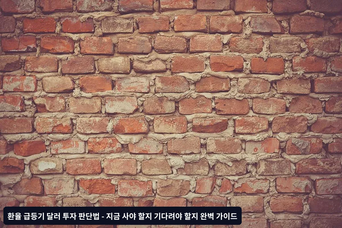 달러 투자 시 피해야 할 5가지 실수