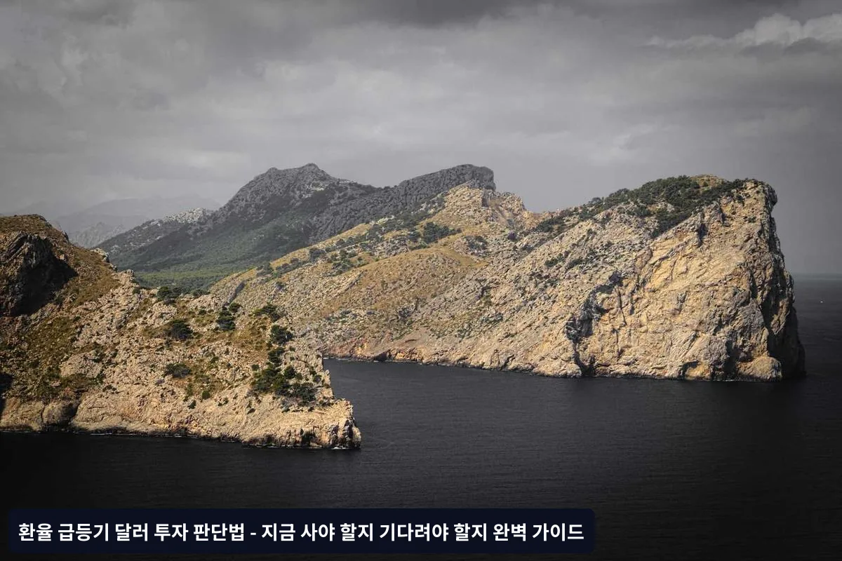 실전 투자 가이드: 단계별 실행 방법